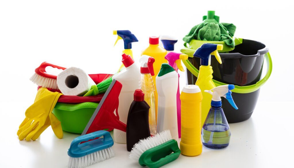Professional Home Cleaners