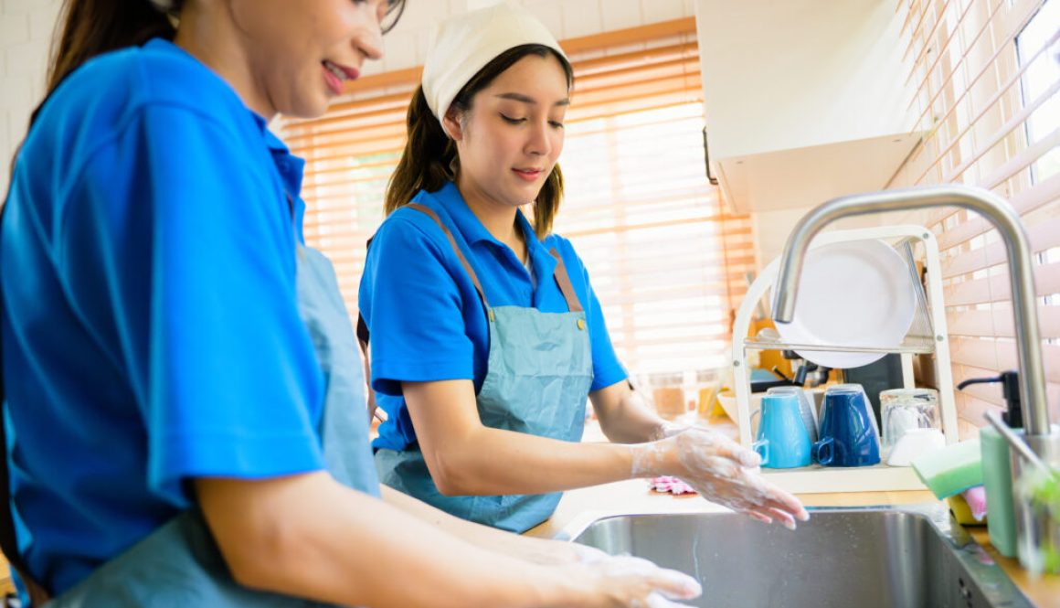 House Cleaners Maintaining Home