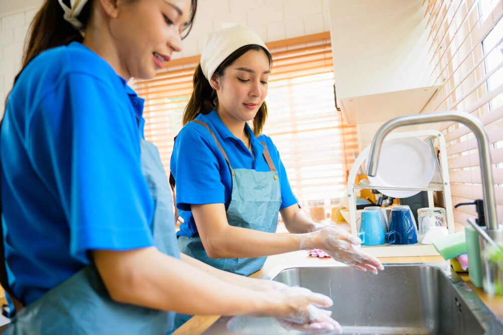 House Cleaners Maintaining Home