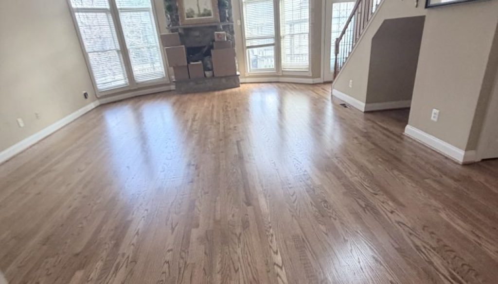 Professional Cleaning Services
