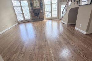 Professional Cleaning Services