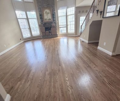 Professional Cleaning Services